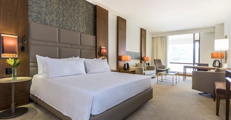 Room Habitación Premium con Terraza